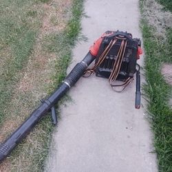 Echo Leaf Blower 