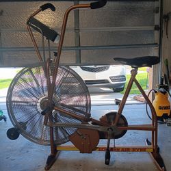 SCHWINN Air-Dyne Cardio Bike