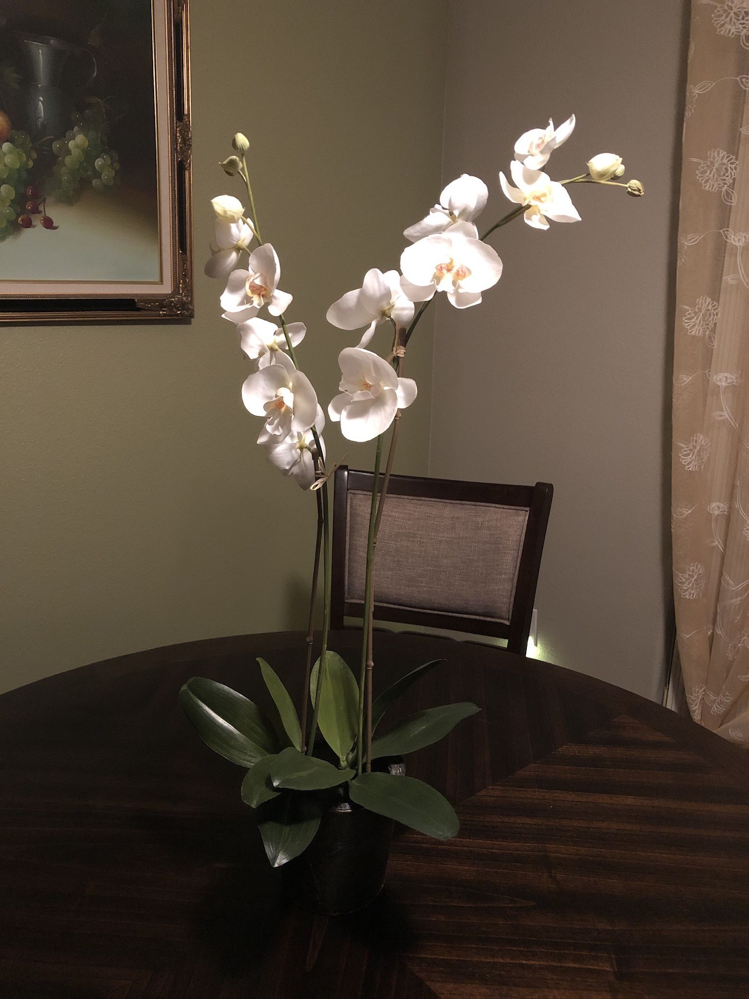 Orchid plant decor