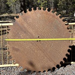 Rare Large 53” Circular Saw Mill Blades