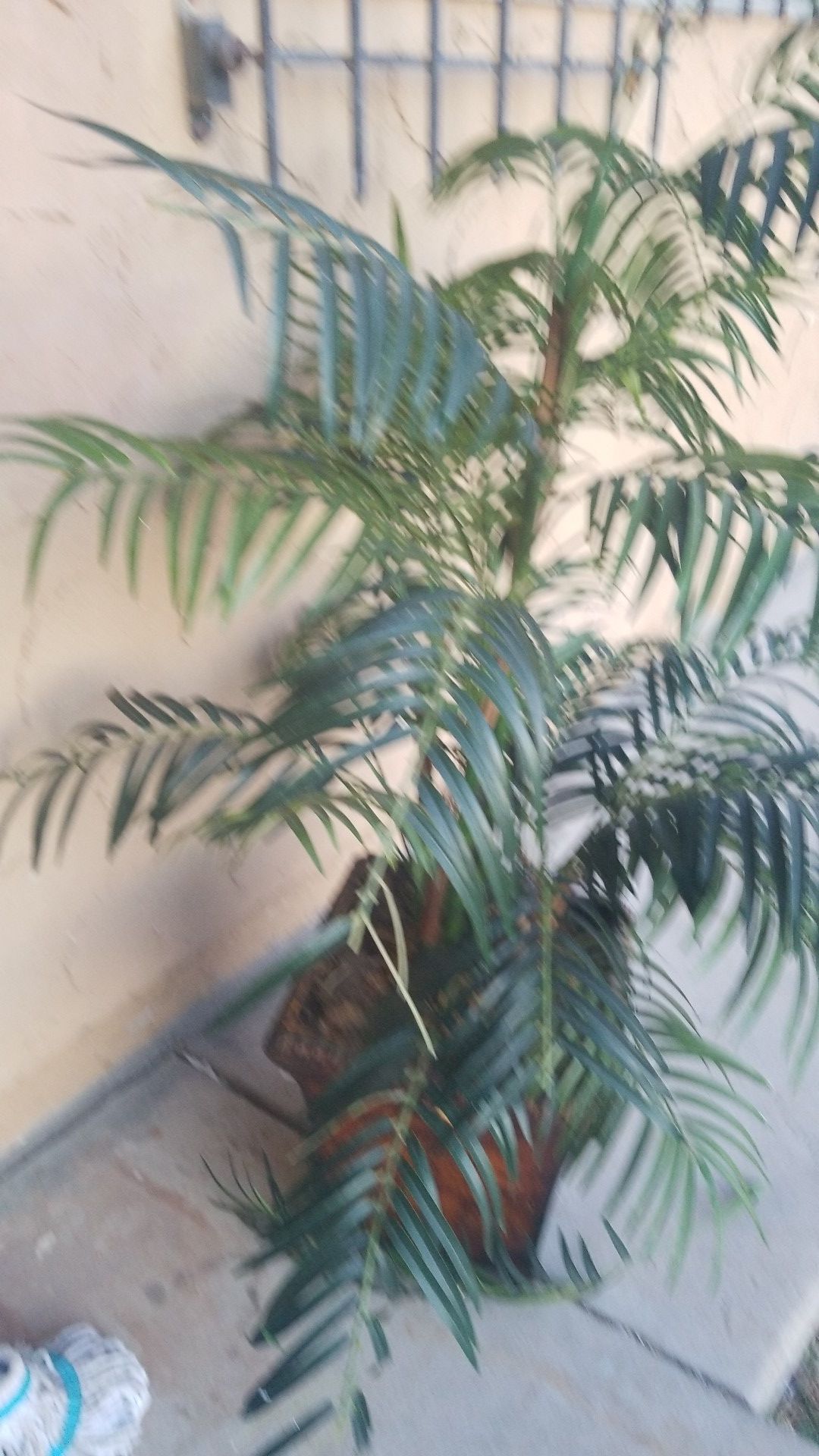Fake indoor plant