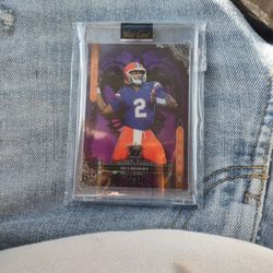 2024 Wild Card - 7 Card Studs Jokers Wild *Purple* (1 Of 1) DJ Lagway