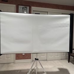Projection Screen:  Epson Duet 80-Inch Dual Aspect Ratio Projection Screen