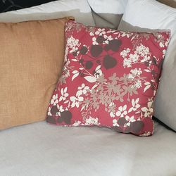 2 Throw Pillows 