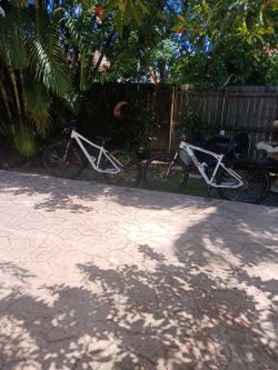 Two Bikes One Scott Scale And One BMCteamelite Tec3