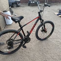 Giant Bicycle 