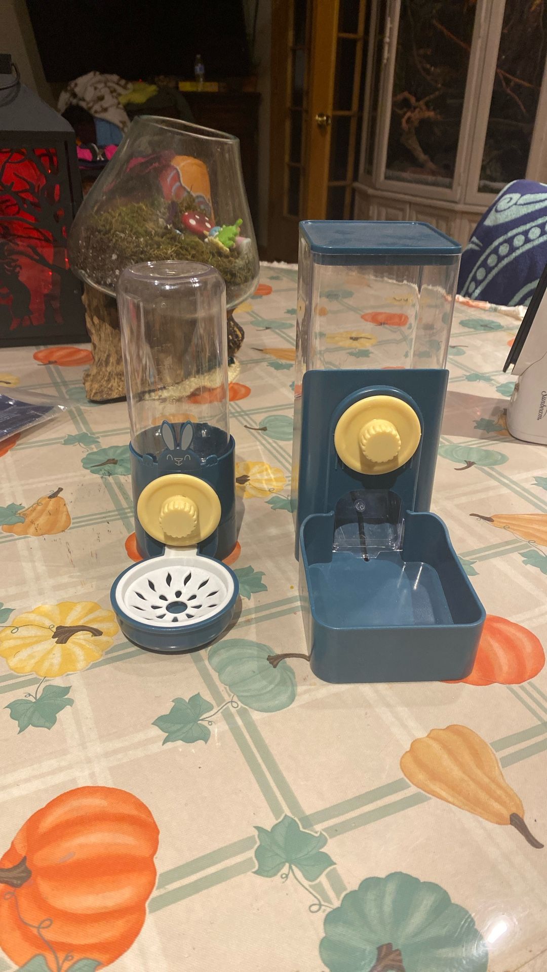 Bunny Or Small Animal Food Dispensing