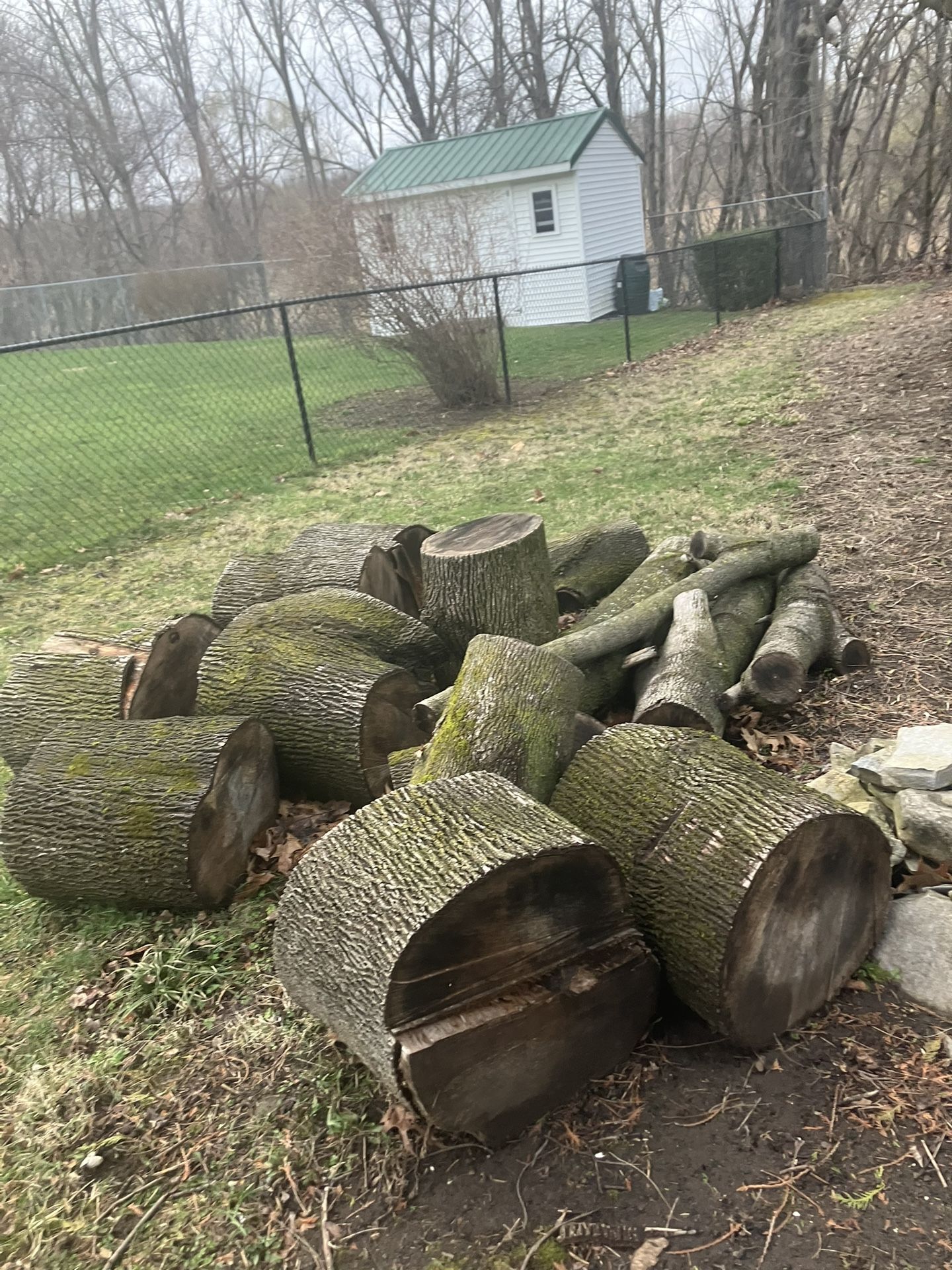 Campfire Wood