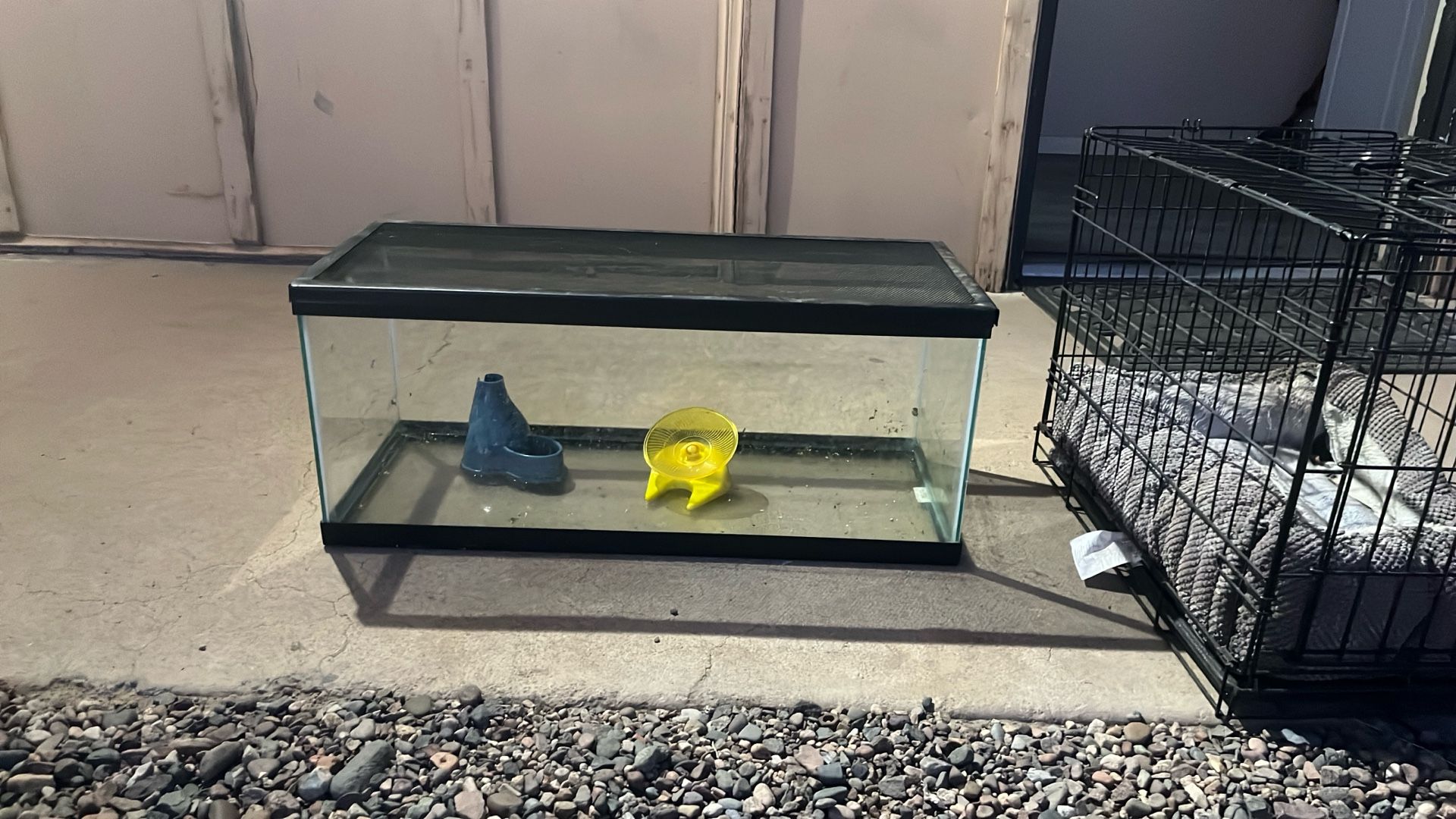 Fish Tank or Hamster Tank 