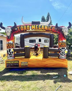 Mechanical bull red 13x13