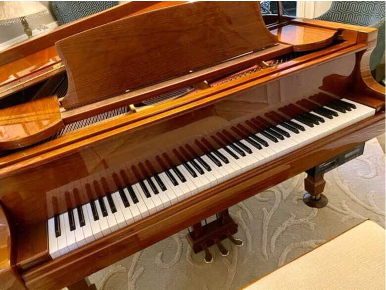Samick Baby Grand Piano Going For Free