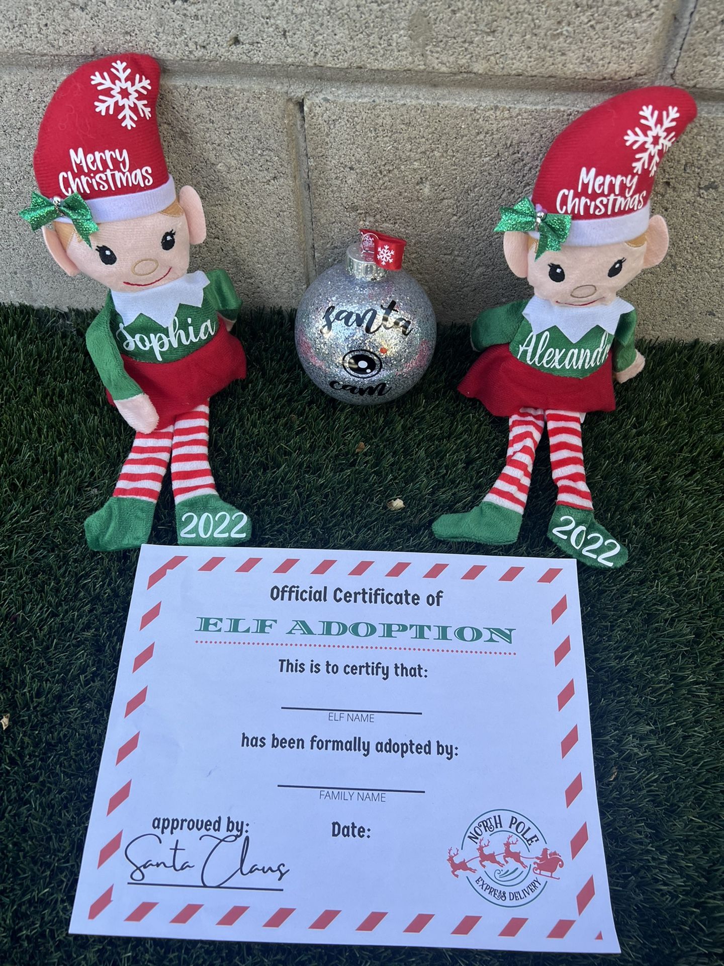 Custom Elves And Santa Cam 