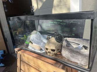 Snake Tank and accessories