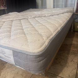 Full Mattress 