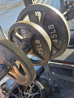 Weight Lifting Weights Beach And Bars