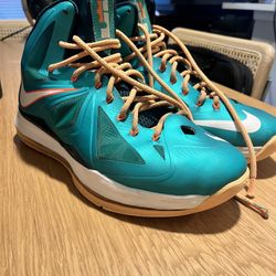 LeBron 10 Size 10.5 Miami Dolphin