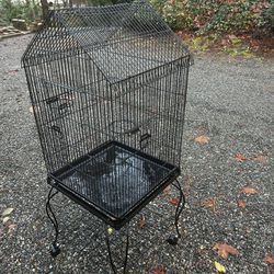 Bird Cage S