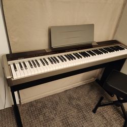 Casio Privia PX-100 digital piano/piano/keyboard 