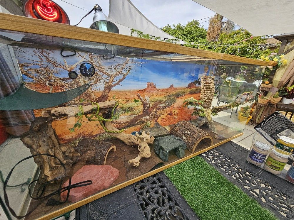 Reptile Tank