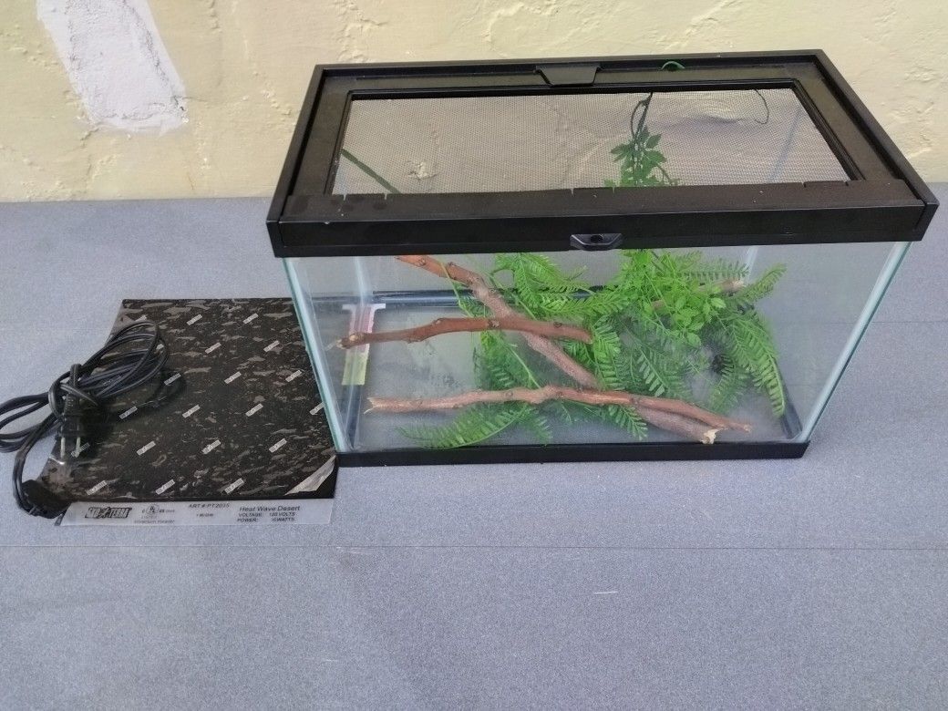 5 Gallon Reptile Tank /Fishtank