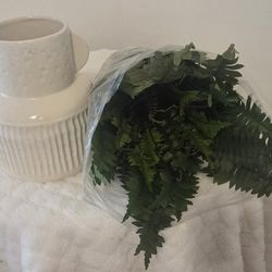 Vase With Fern Decoration 