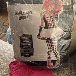 Harlequin Honey Costume
