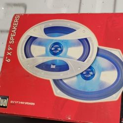 Dual Audio  6x9  Speaker