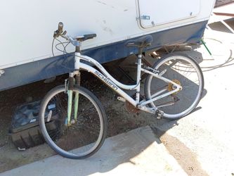 Schwinn trailway
