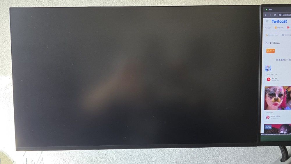 P2425E Dell Monitor Both For $60