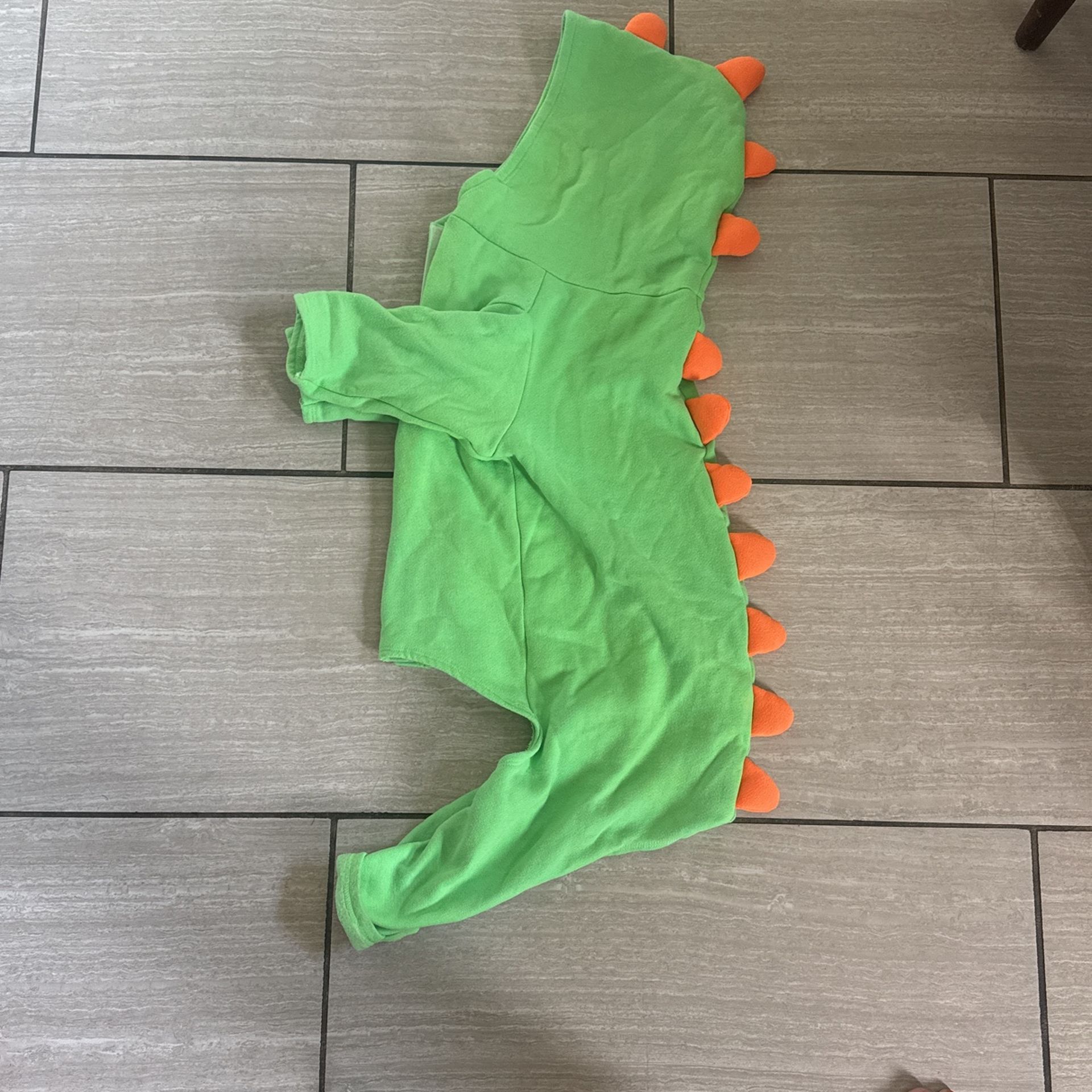 Large Dinosaur Dog Costume