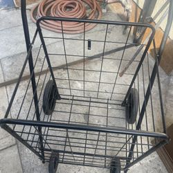 Laundry/grocery Cart 