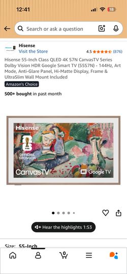 55” Hisense Canvas TV