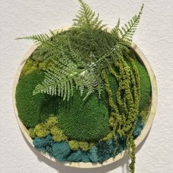 Moss Wall Art 