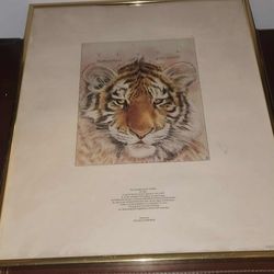 framed art print of a tiger. It is a lithograph titled "Tiger Portrait" by artist Guy Coheleach. 
