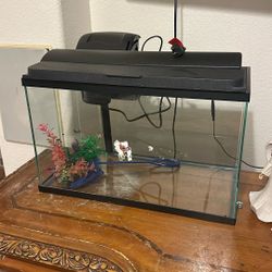 fish tank