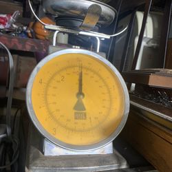 Scale Of 