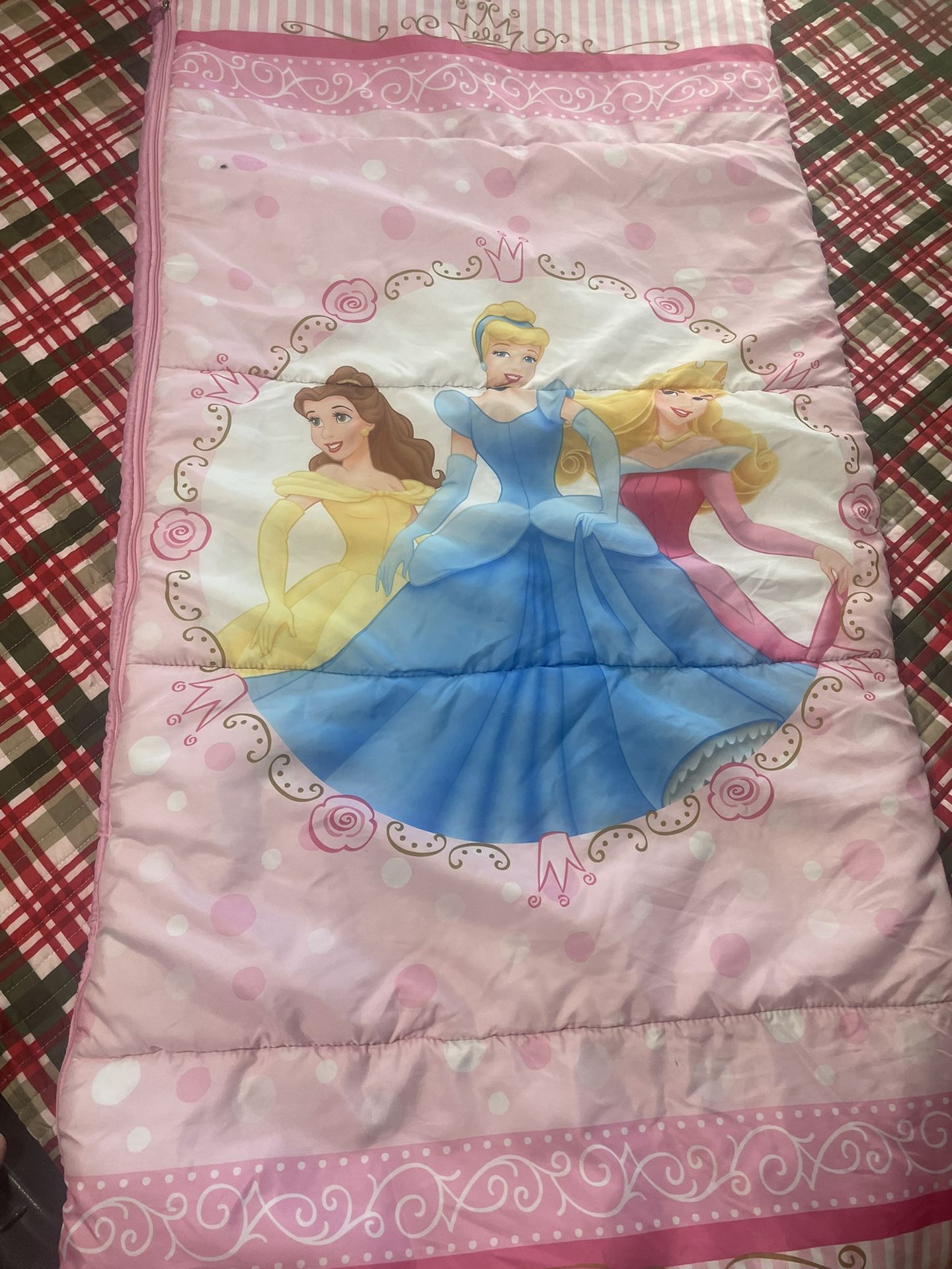 Disney Sleeping Bag