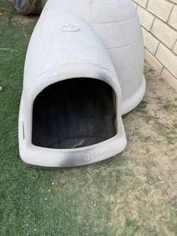 Dog house