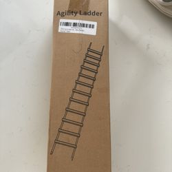 Agility Ladder