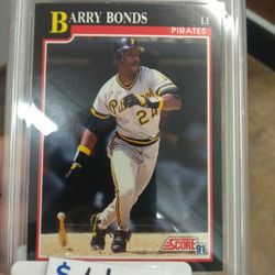 Pirate Baseball Cards 