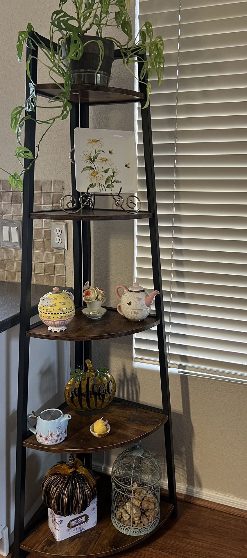 Corner Shelf 