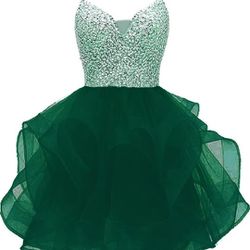 Spaghetti Straps with Sequin on top Tulle size 8 esmeralda green 💚 it's new didn't fit my daughter