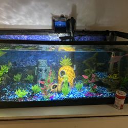 Fish Tank Large (negotiable)