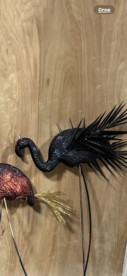 Zombie flamingos Sold As Group Of Three
