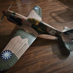 Rc Plane P-40 PNP
