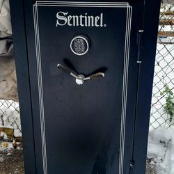 WTT for cordless 2-stage snow blower w/batteries and charger. 