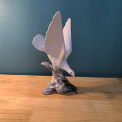 Porcelain Dove