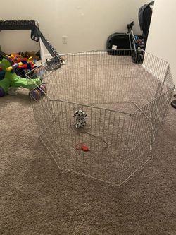 Puppy or rabbit Holder