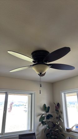 Ceiling fan
