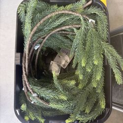 Decorative Branches 20 Or More Branches 